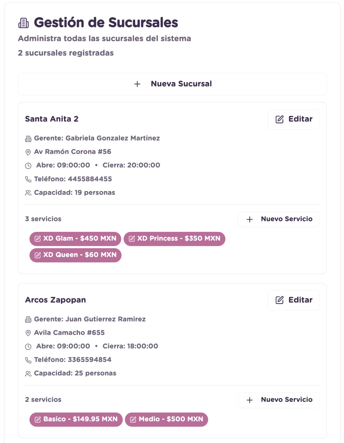 Vista general del Panel gestión de sucursales