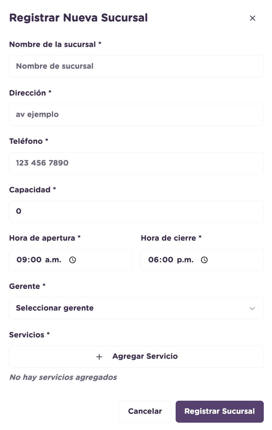 Vista general para registrar una nueva sucursal